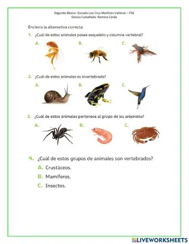 Evaluación Animales  Vertebrados e Invertebrados