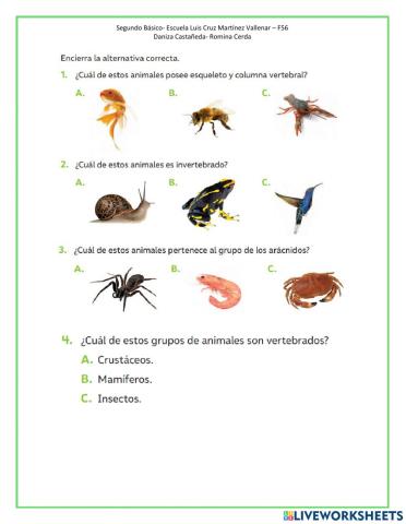 Evaluación Animales  Vertebrados e Invertebrados