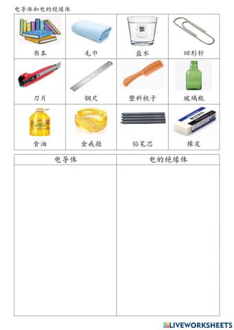 电导体和电的绝缘体