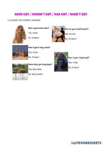 Have got, haven't got, has got, hasn't got