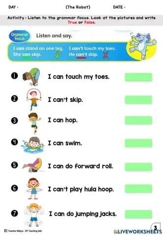 The Robot (True or False)