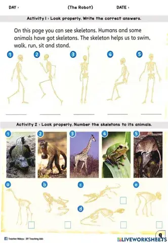 The Robot (Skeleton : Write and Number)