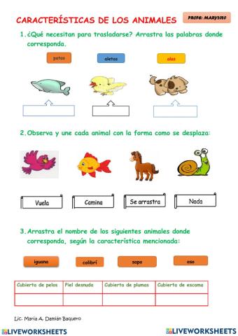 Características de los animales