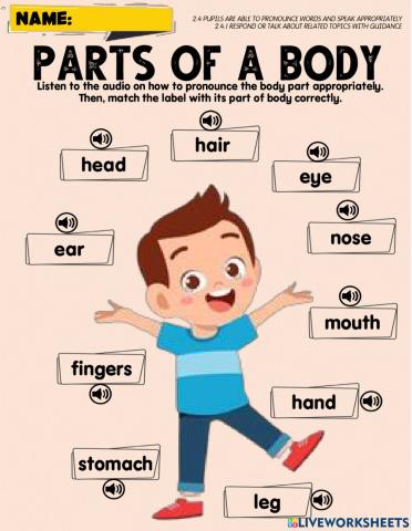Parts of a body