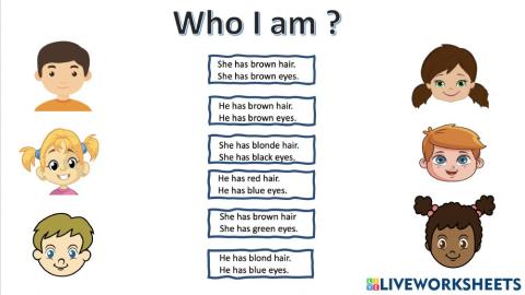 Physical descriptions