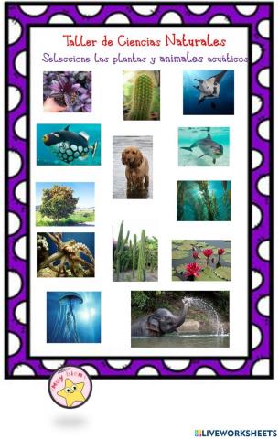 Plantas y animales del agua