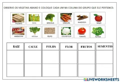 Parte das plantas que comemos