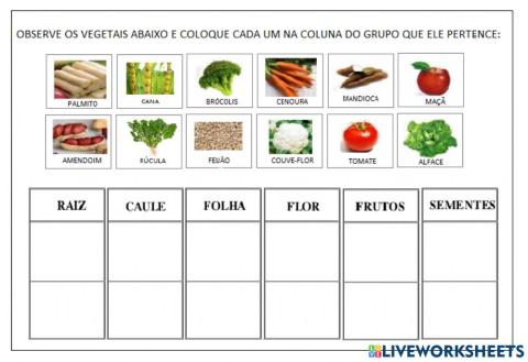 Parte das plantas que comemos