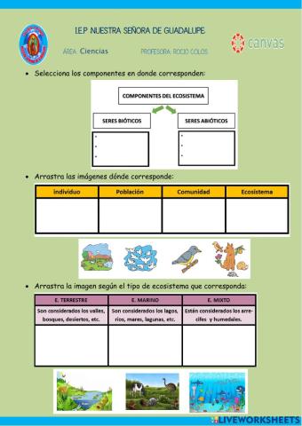 Explorando los Ecosistemas