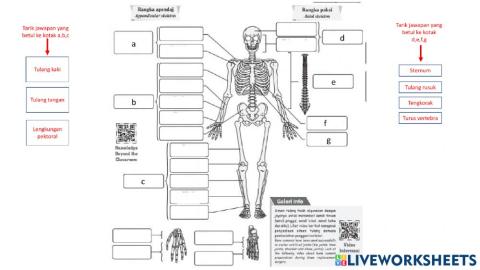 Bab 6 sokongan pertumbuhan