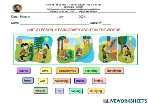 In the woods-paragraph