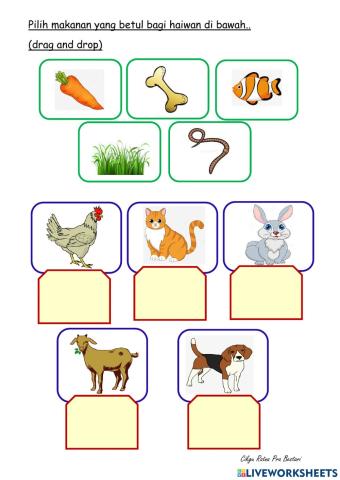 Haiwan dan makanannya.