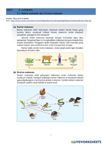 Rantai makanan dan siratan makanan