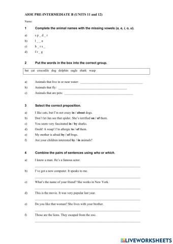 Pre intermediate B 11-12