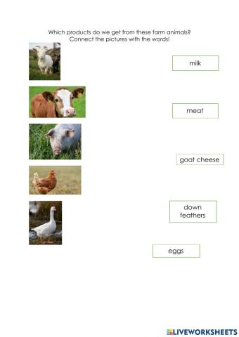 Farm animals and their products