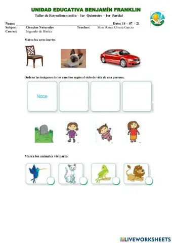 Retroalimentación CCNN