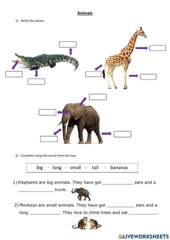 Animal body parts description