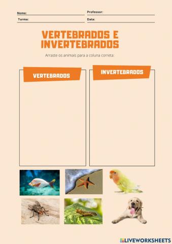 Vertebrados e invertebrados