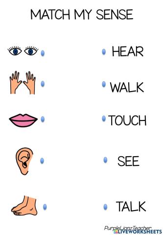 Match the sense