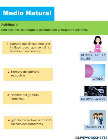 La reproducción humana