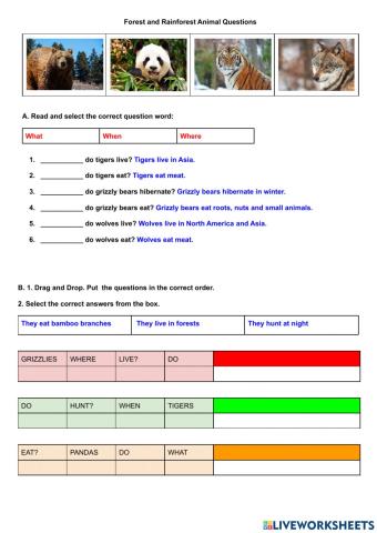 Project: Forest and Rainforest Animal Questions