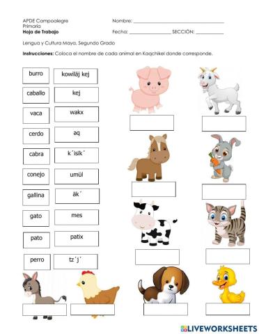 Animales domésticos en Kaqchikel