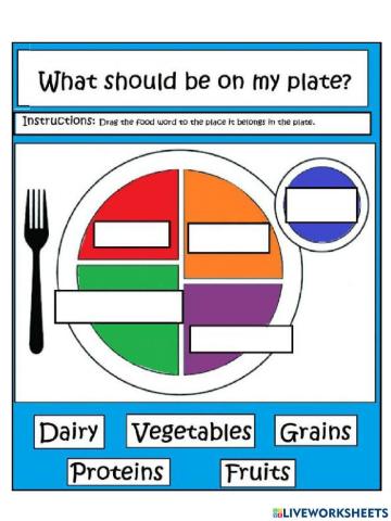 Healthy Eating Plate