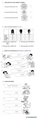 Have got haven't got