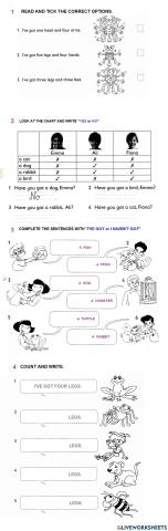 Have got haven't got