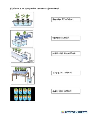 தகவல் தொழில் நுட்பம்