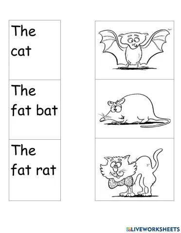 Simple CVC reading matching