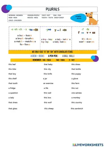 Practica de plurales