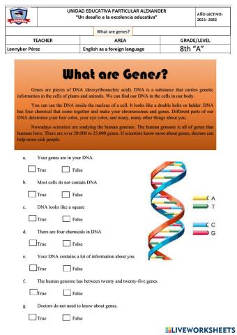 What are genes?