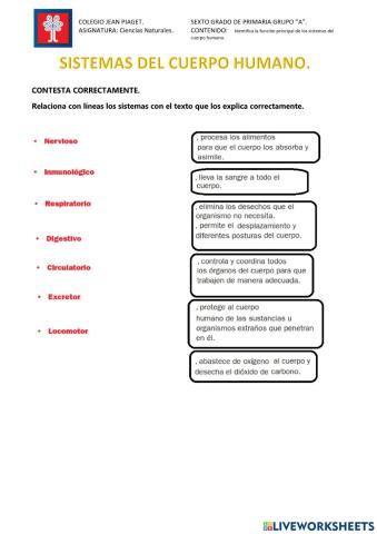 Sistemas del cuerpo humano