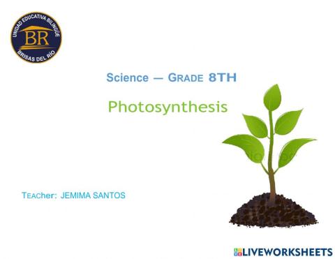 Photosynthesis