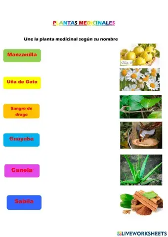 Plantas Medicinales