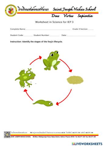 Life Cycle of  a Froog