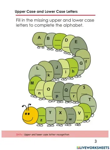 Upper Case & Lower Case Letters