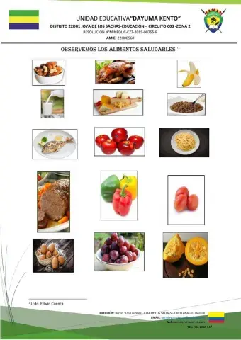 Nutrición Saludable