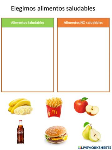 ¿Cómo se clasifican los alimentos?