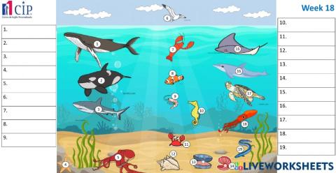KIDS Sea Animals Week 18