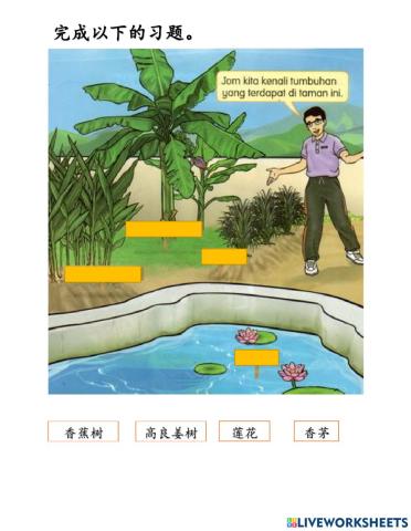 特殊班四年级科学