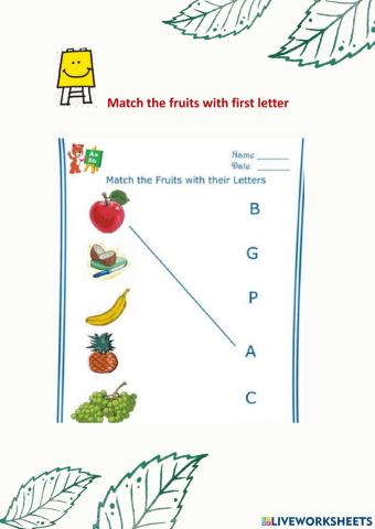 Match the Fruits