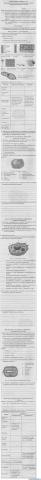 Вивчення структурно-функціональної різноманітності клітин