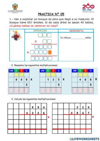 Practica Nº 05 - II Bimestre