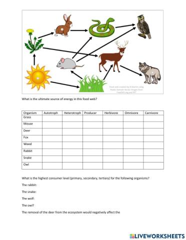 Food web analysis