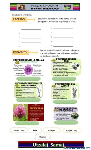 Plantas medicinales