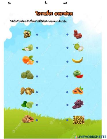 โยงเส้นจับคู่มาตราสะกด