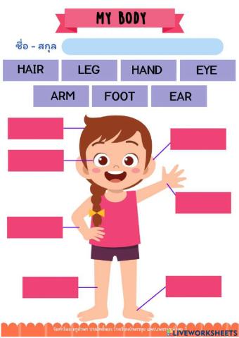 Test ลากคำศัพท์ร่างกาย