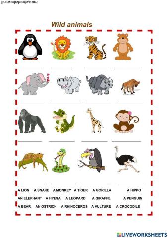 Animal Grade 2